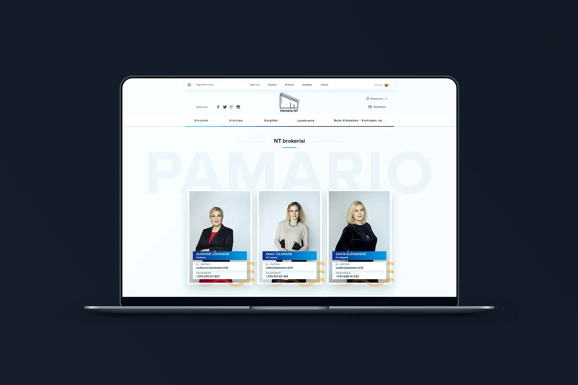 Pamario-nt.lt portal – website design example