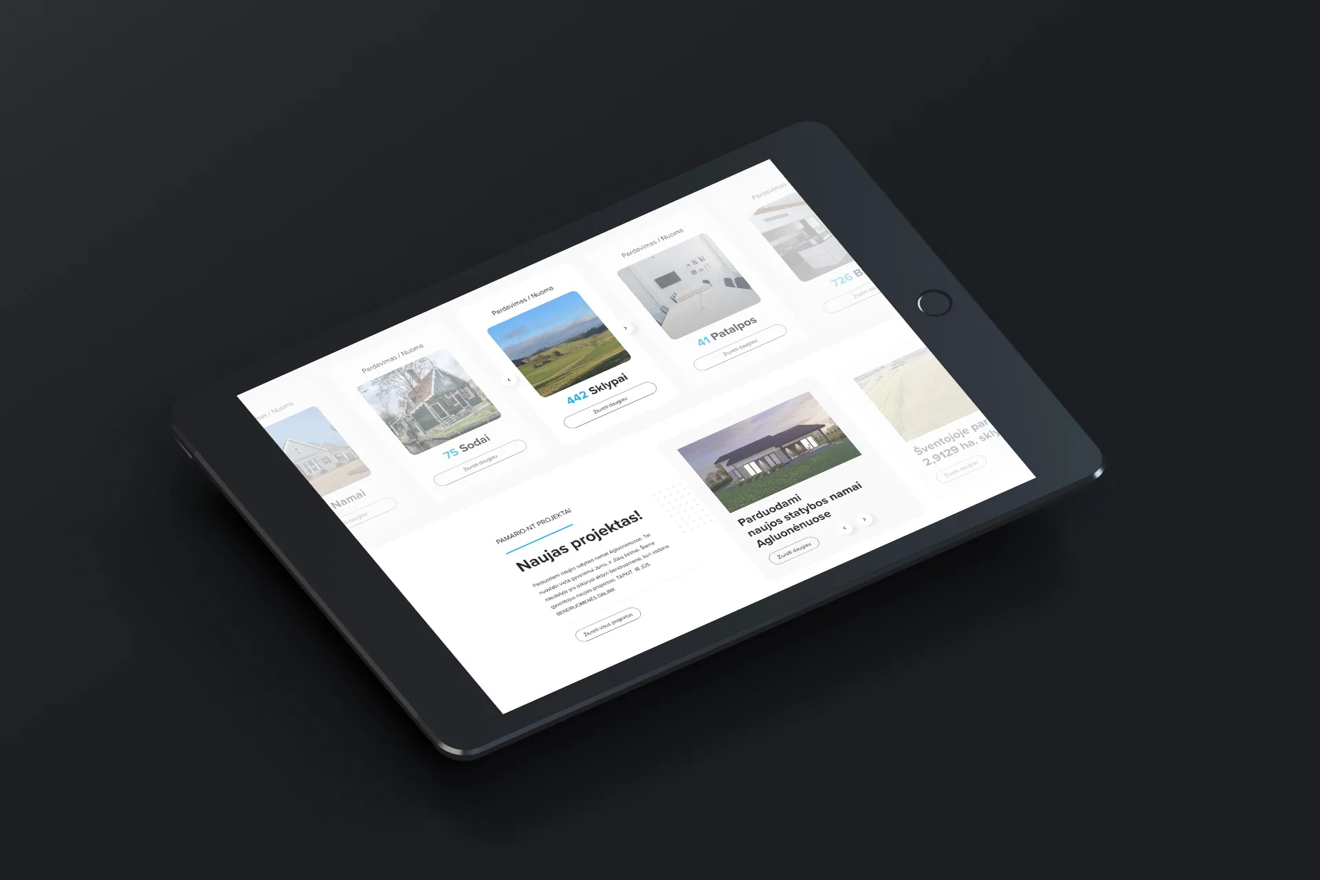 Pamario-nt.lt portal – listings page design